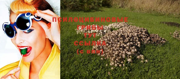 PSILOCYBIN Михайлов