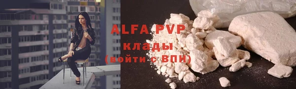 шишки Надым
