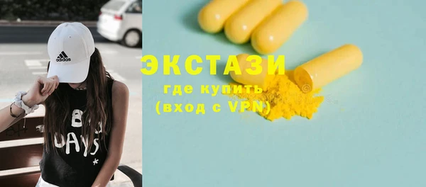 шишки Надым