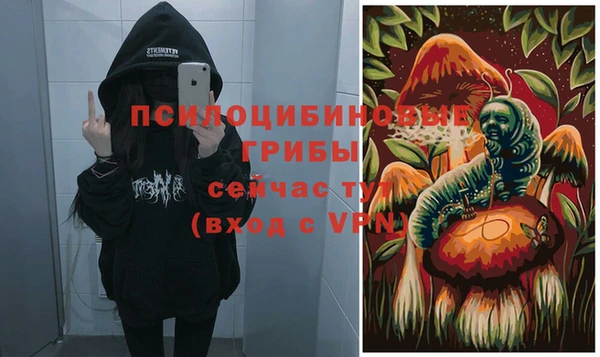 дживик Михайловск