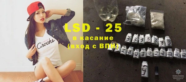 PSILOCYBIN Михайлов