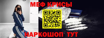 СК Гатчина