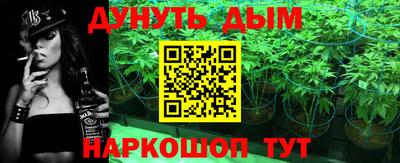 СК Гатчина