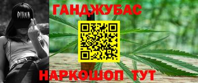 СК Гатчина