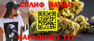 СК Гатчина