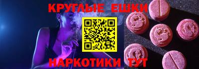 СК Гатчина