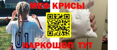 СК Гатчина