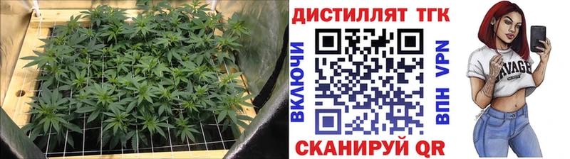 Дистиллят ТГК вейп  Алексин 