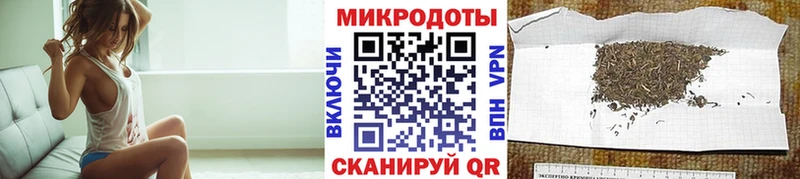 Псилоцибиновые грибы Psilocybe  Алексин 
