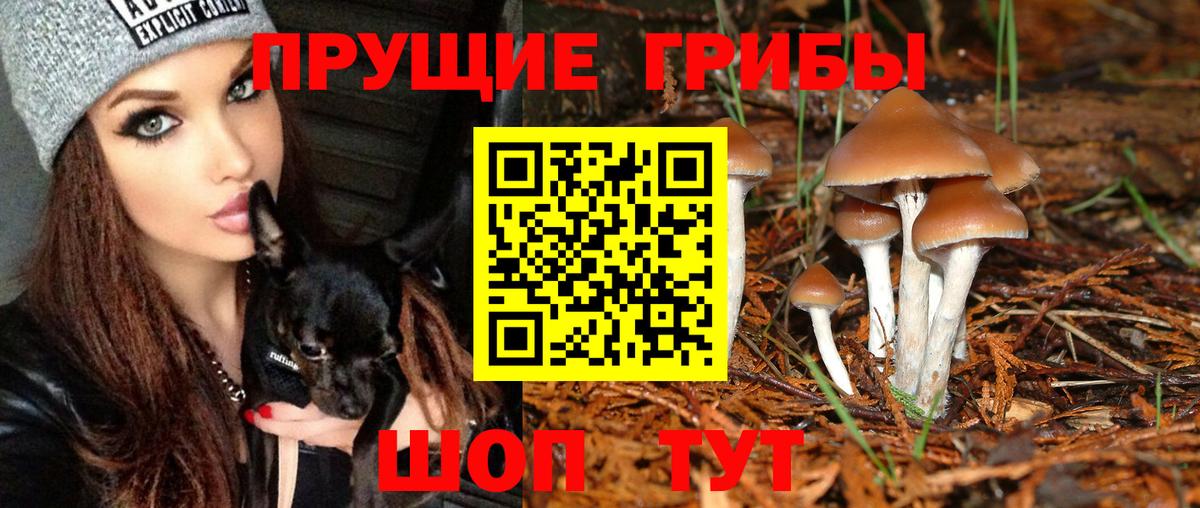 Псилоцибиновые грибы прущие грибы Алексин