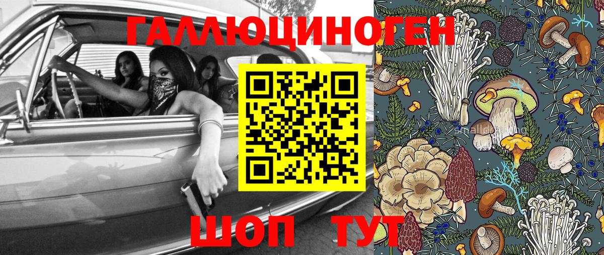 Псилоцибиновые грибы MAGIC MUSHROOMS Алексин