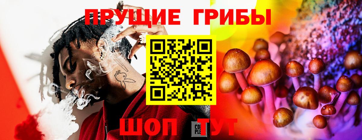 Псилоцибиновые грибы MAGIC MUSHROOMS  Галлюциногенные грибы Magic Shrooms  Алексин 