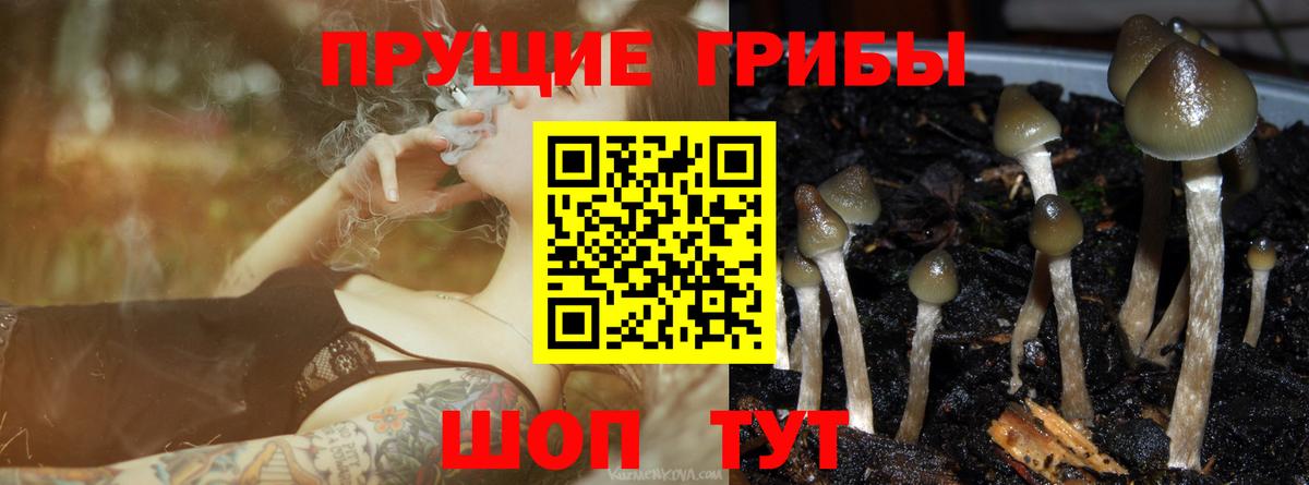 Галлюциногенные грибы мухоморы Алексин